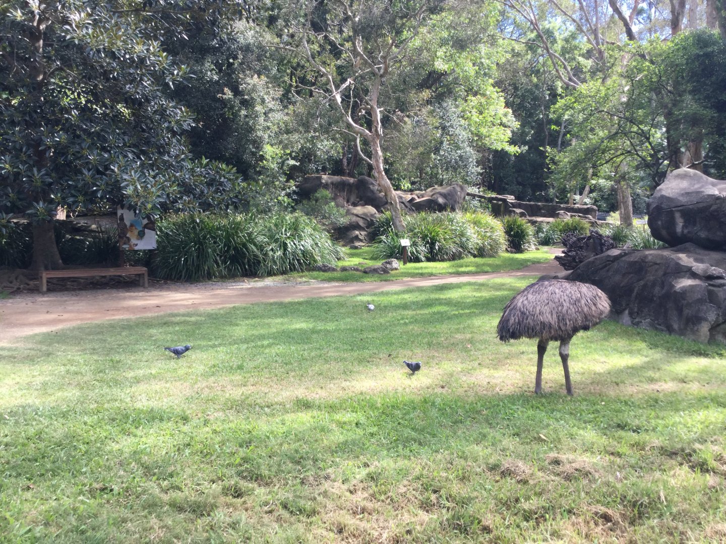 Swamp Wallaby and Emu Enclosure