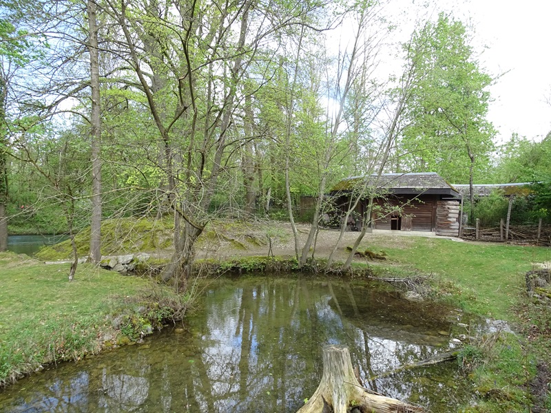 Swamp wallaby and emu enclosure