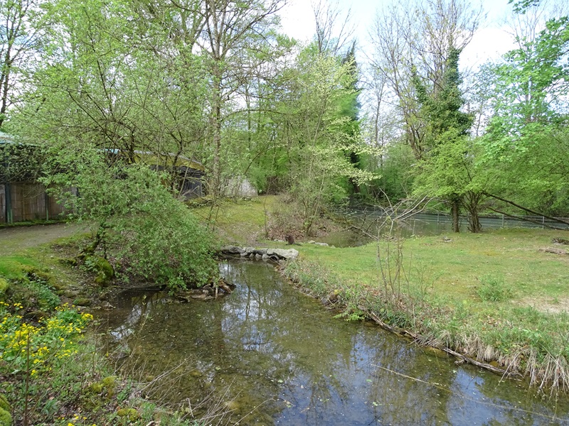 Swamp wallaby and emu enclosure