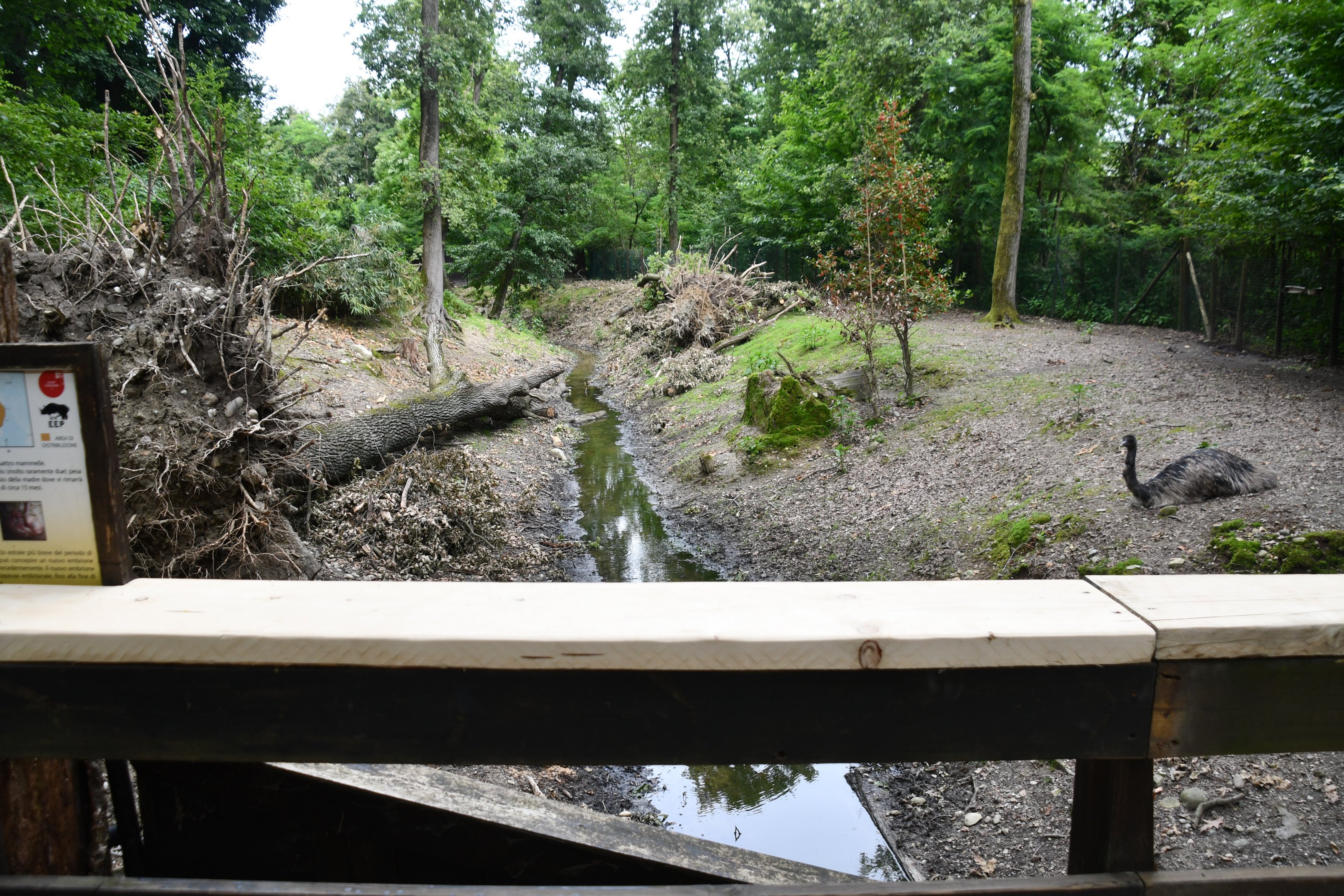 Swamp Wallaby/Emu exhibit