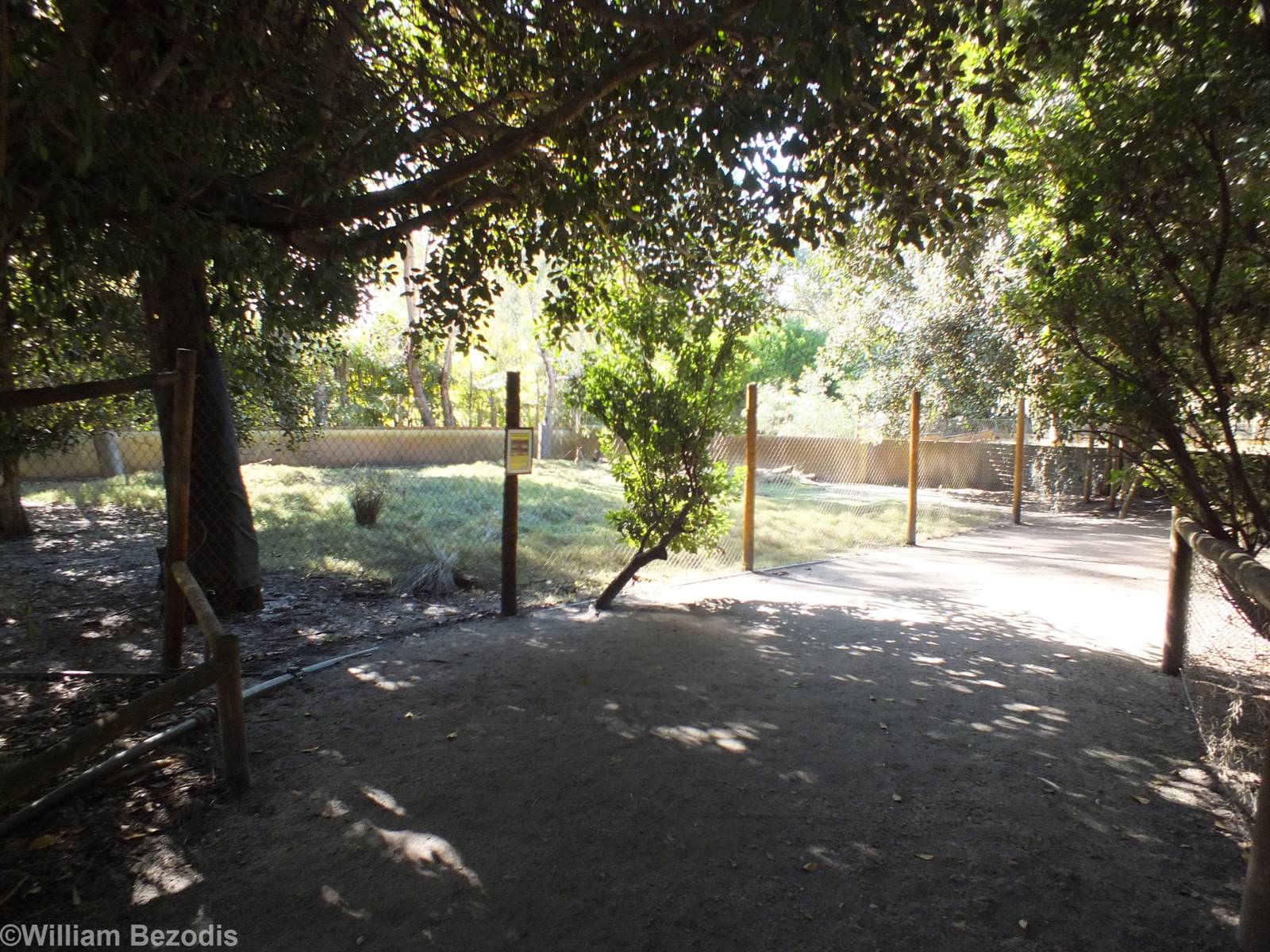 Swamp Wallaby Enclosure - Caversham Wildlife Park