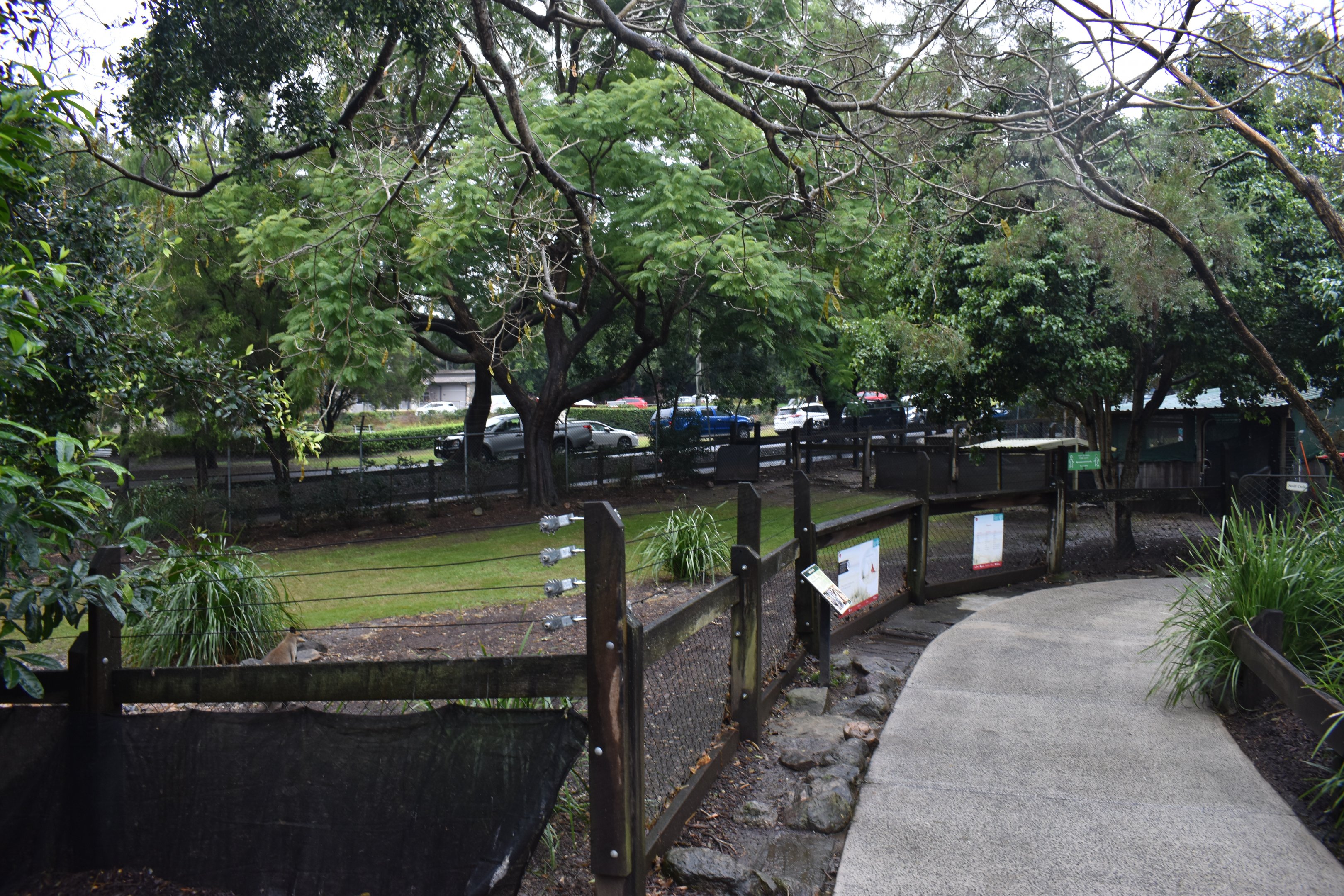 Swamp Wallaby Enclosure