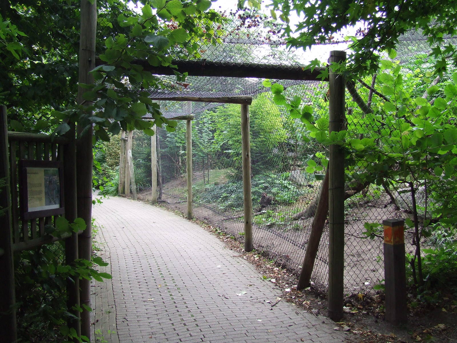 Swamp Wallaby enclosure