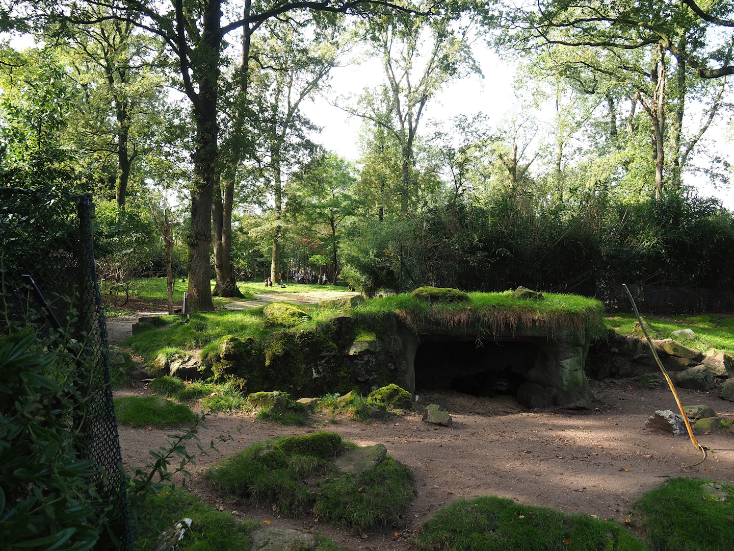 Swamp wallaby exhibit, 2023-10-07
