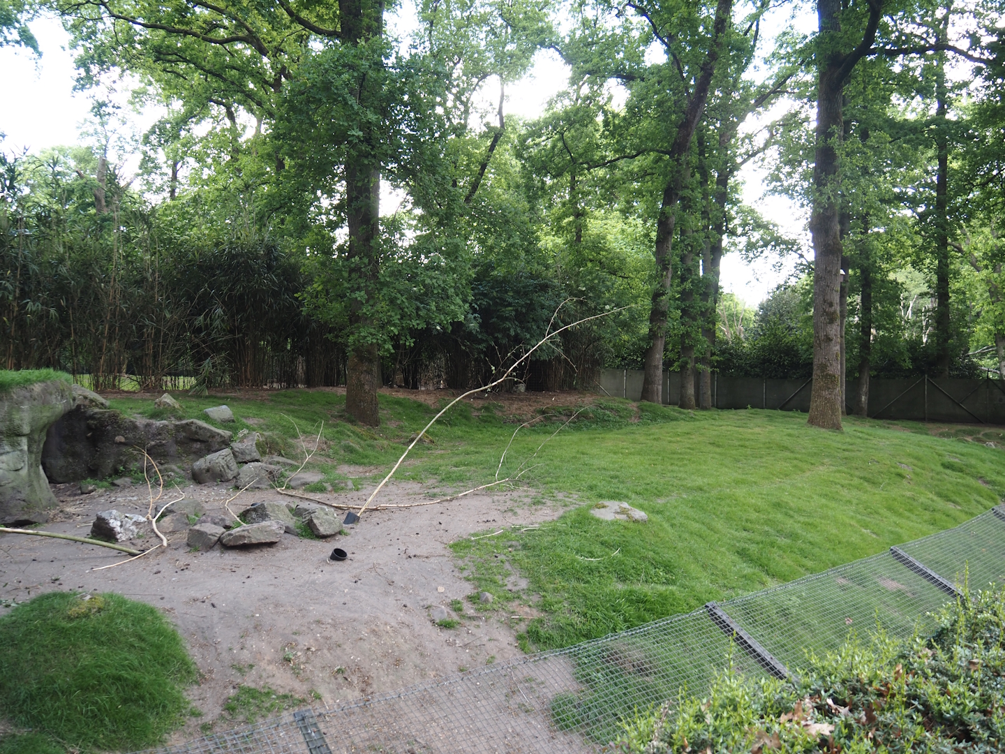 Swamp wallaby exhibit, 2025-05-17