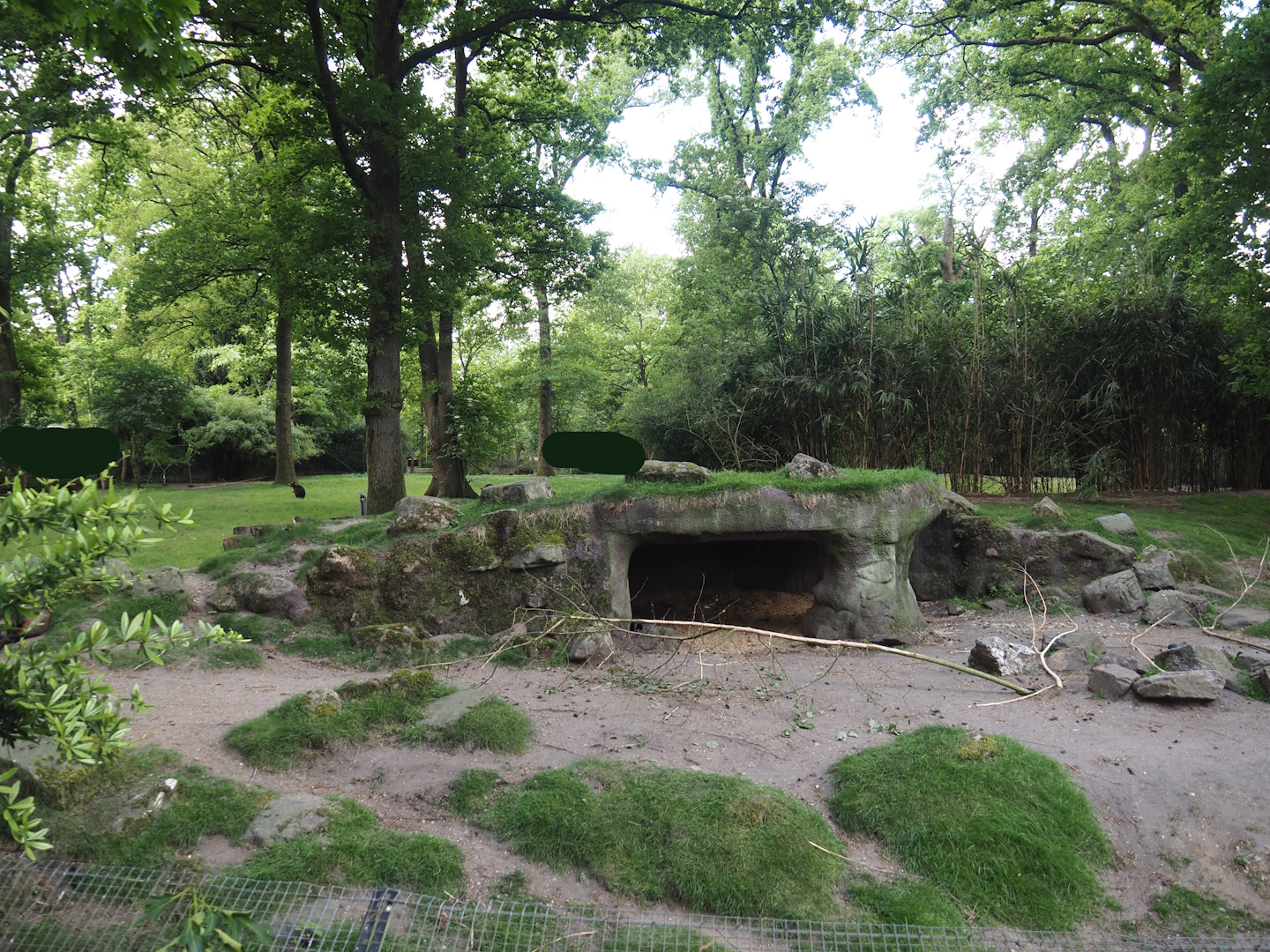 Swamp wallaby exhibit, 2025-05-17