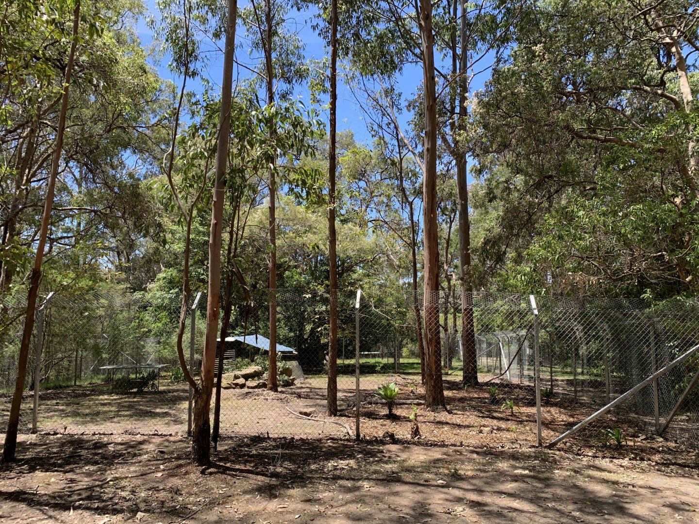 Swamp Wallaby Exhibit (Potoroo Palace)