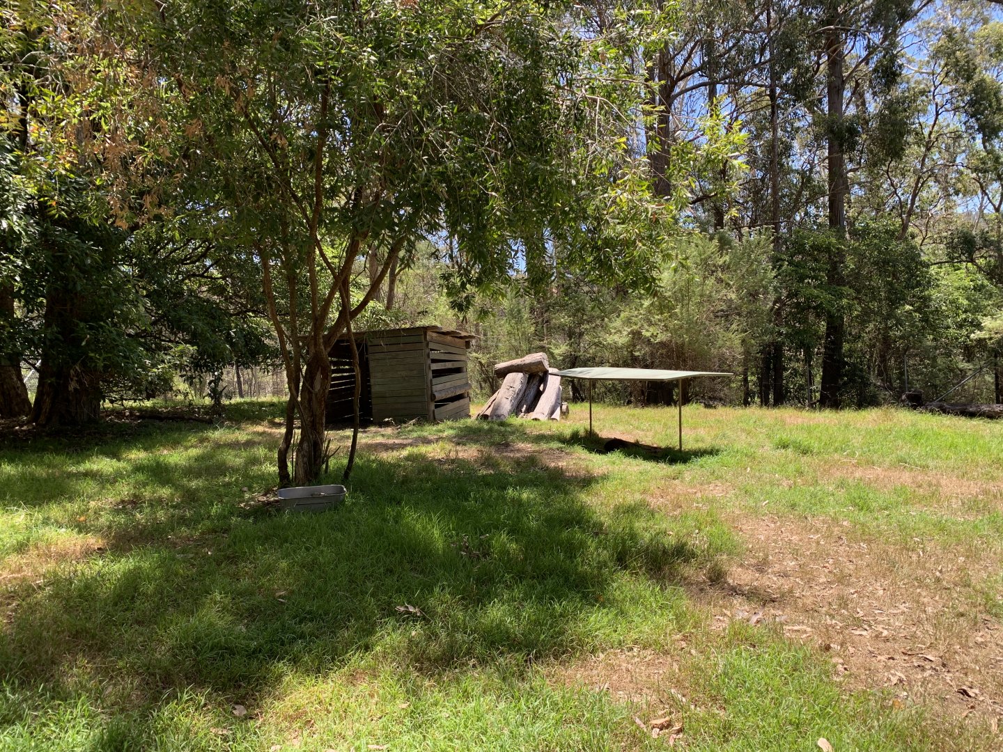 Swamp Wallaby Exhibit (Potoroo Palace)