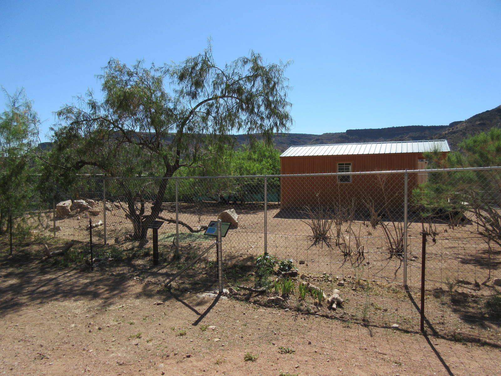 Swamp Wallaby Exhibit