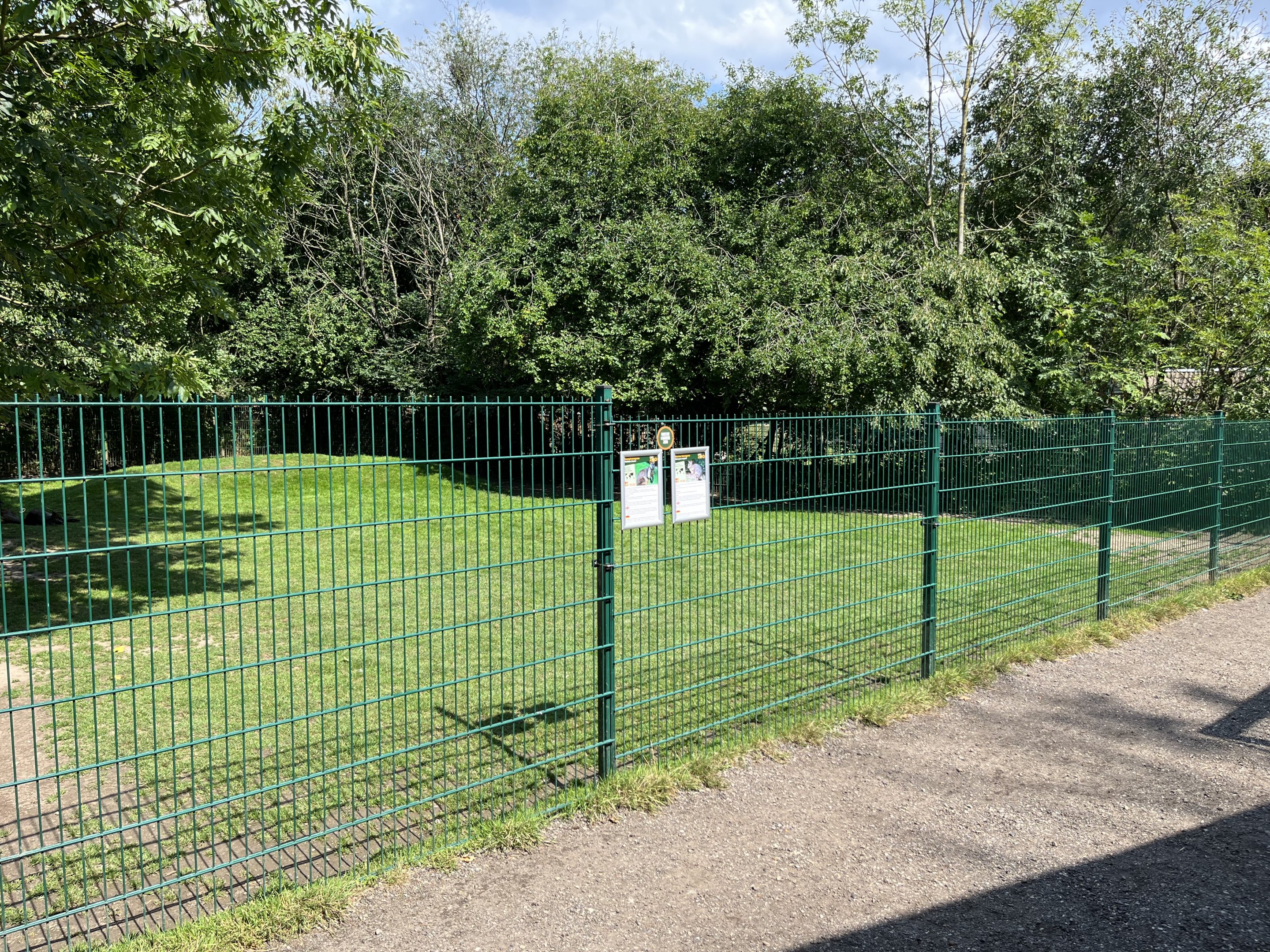 Swamp Wallaby Exhibit