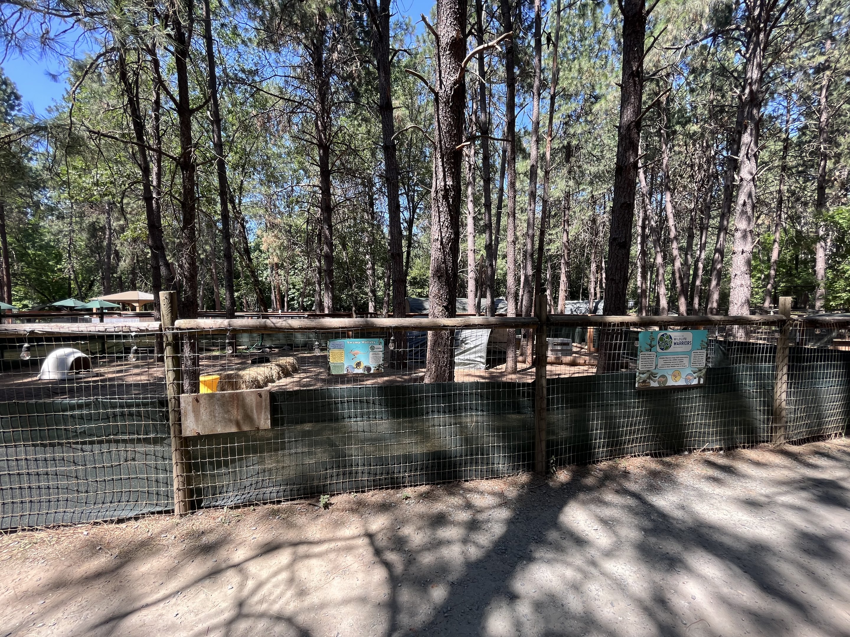 Swamp Wallaby Exhibit
