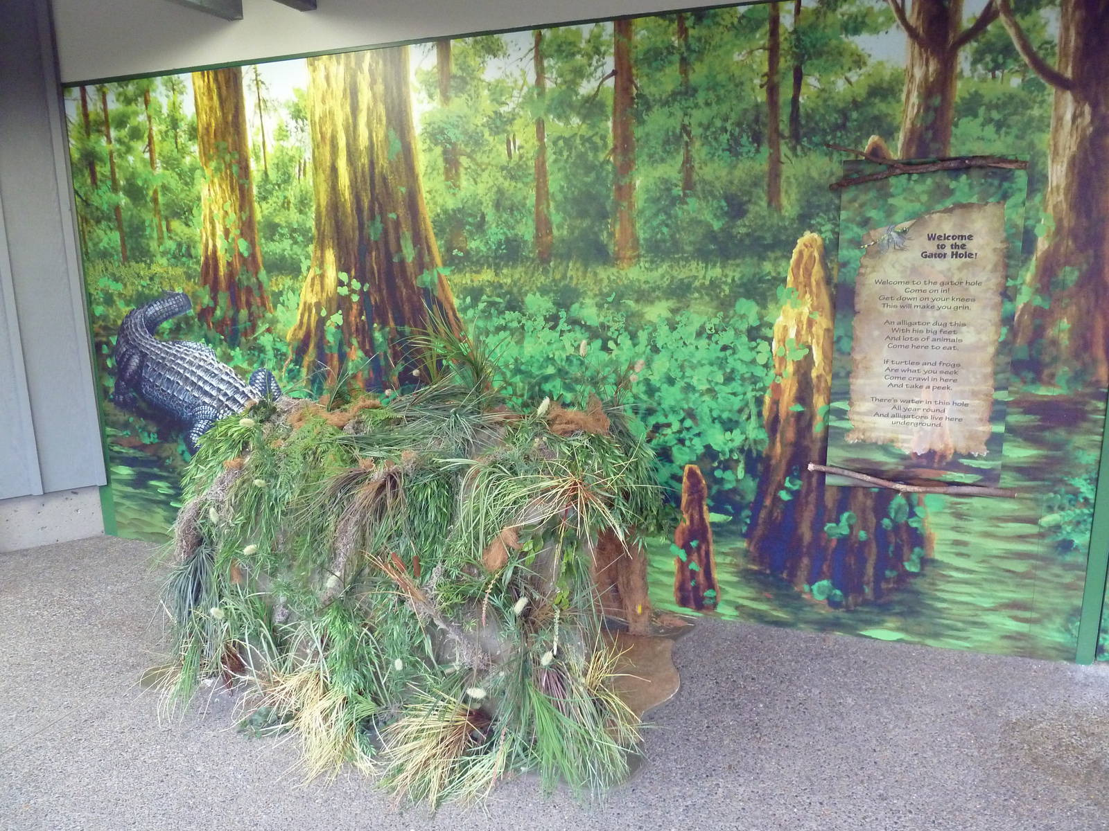 Swampland - Gator Hole