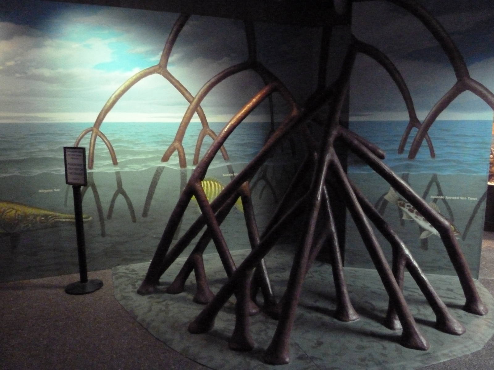 Swampland - Mangrove Roots