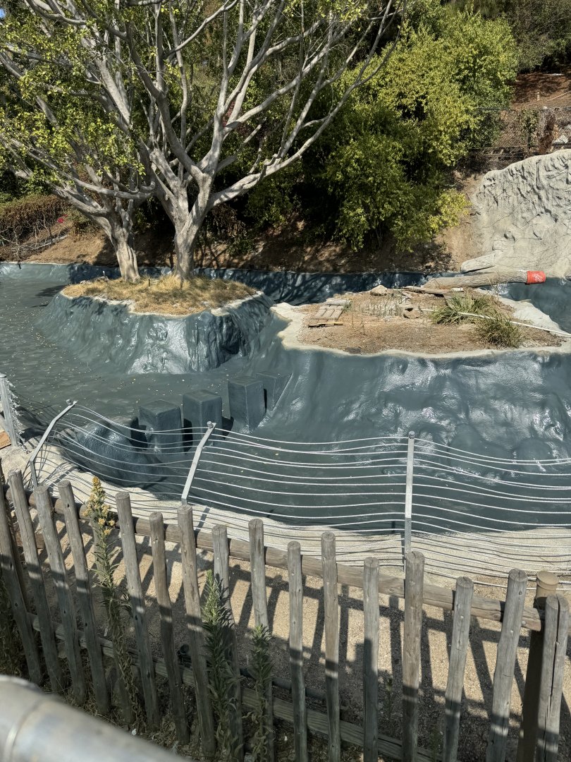 Swan Lake Construction