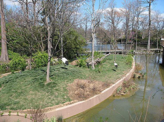 Swan Lake-Crane Islands