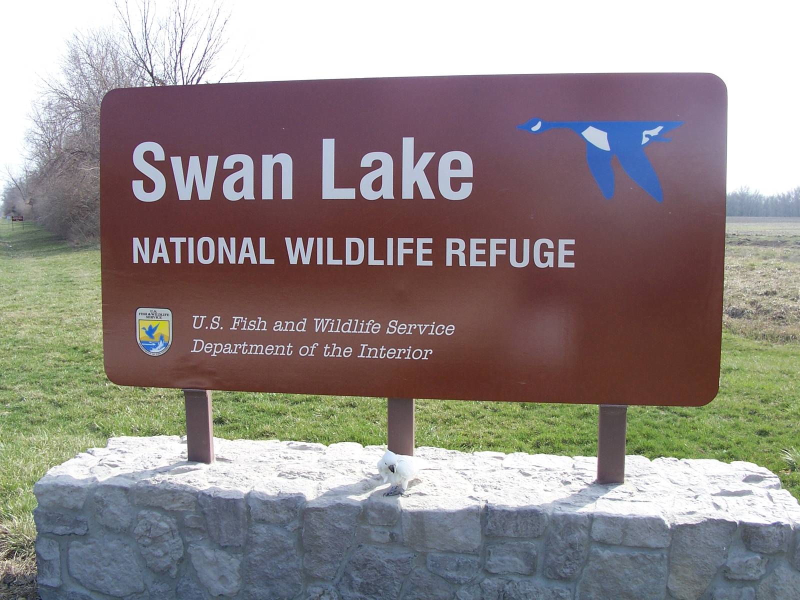 Swan Lake NWR - Missouri