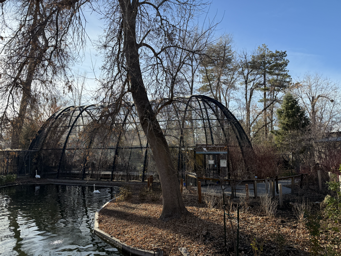 Swan Pond & Kennecott Wetland Immersion Experience