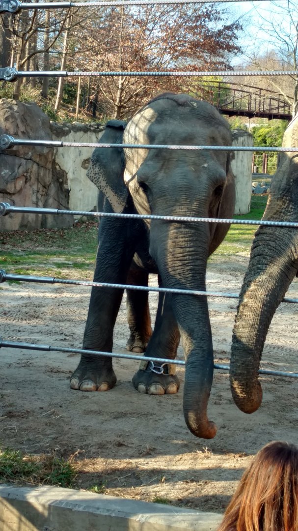 Swarna celebrates her 45th birthday, 1/1/2020