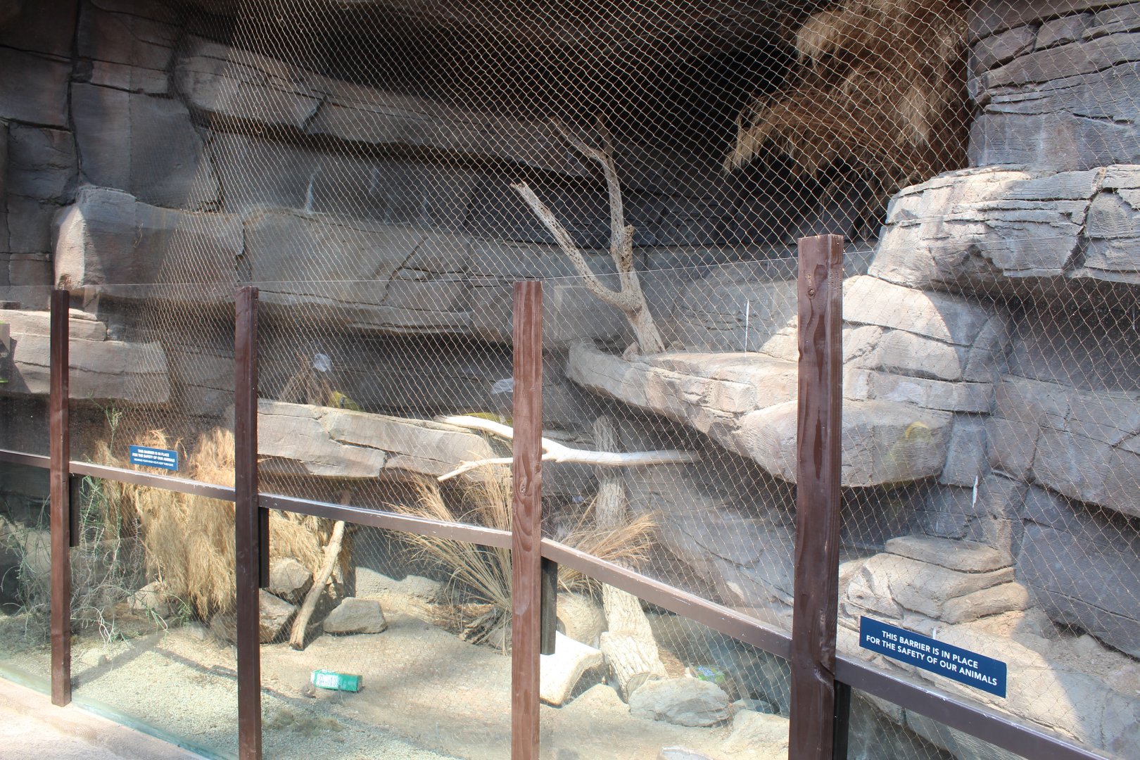 Swift Fox Exhibit - Desert Dome