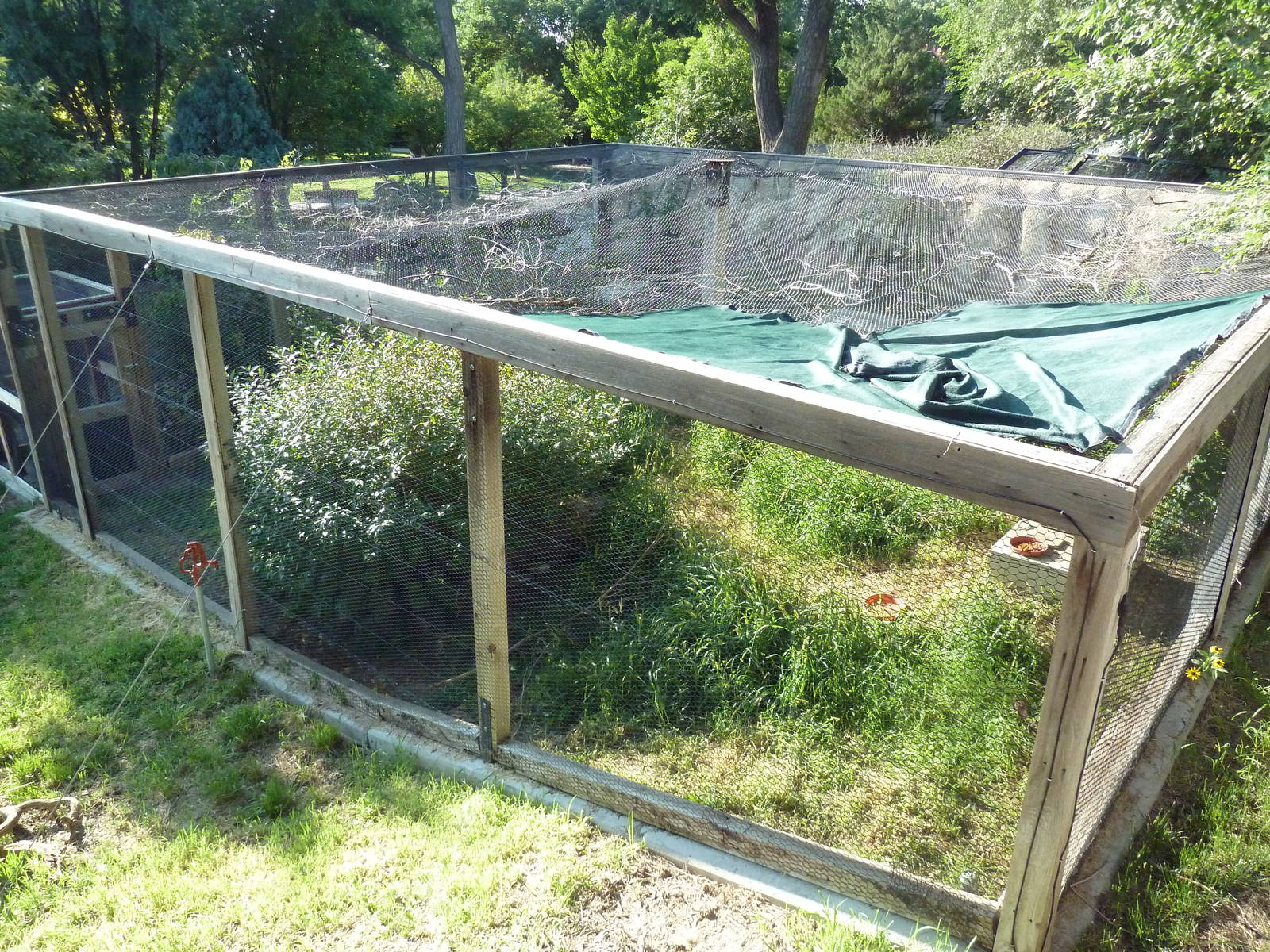 Swift Fox Exhibit - Overhead View