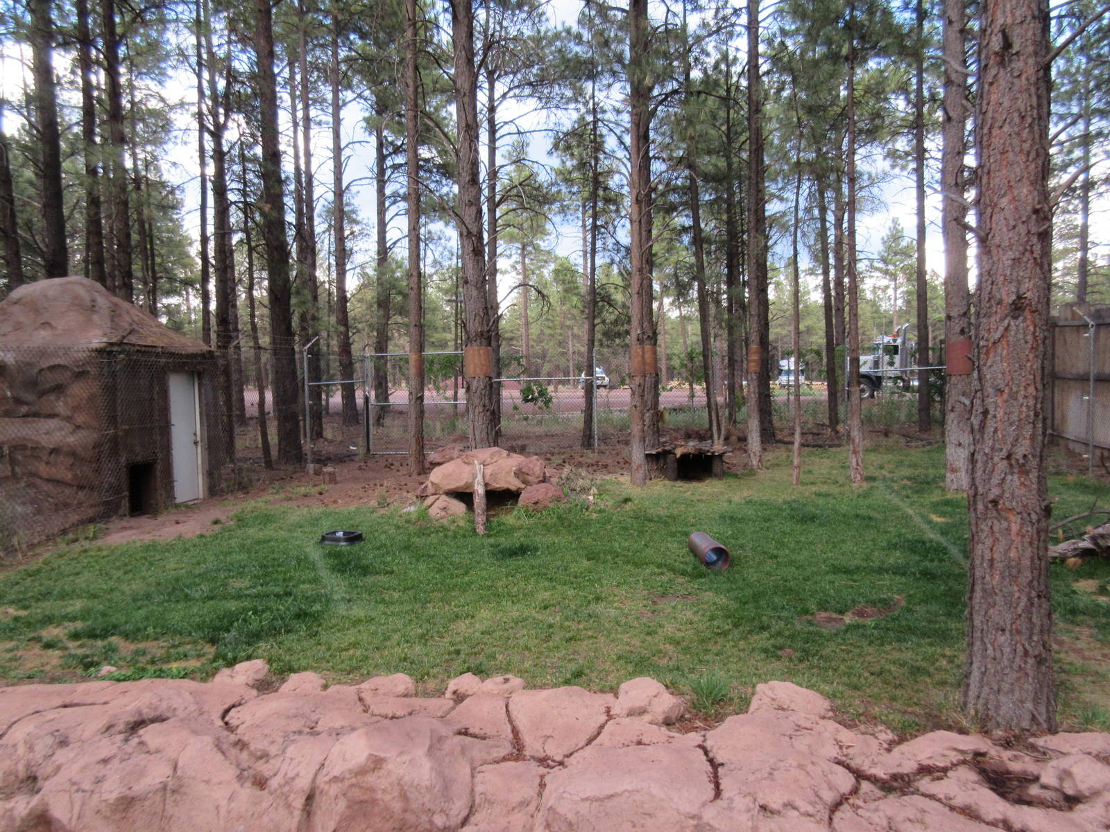 Swift Fox/Red Fox Exhibit