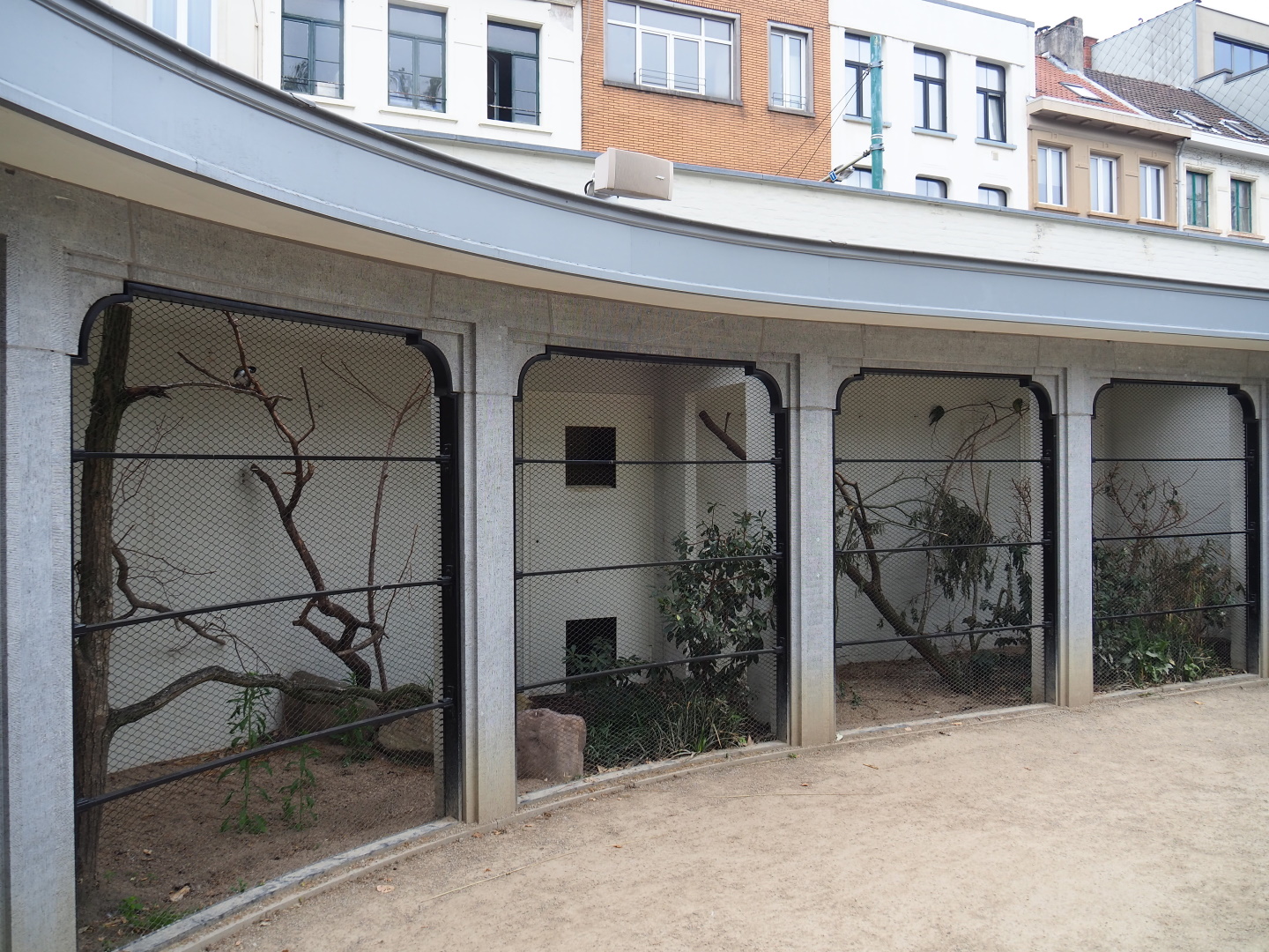 Swift parrot and Blue-faced honeyeater aviary, 2021-06-12