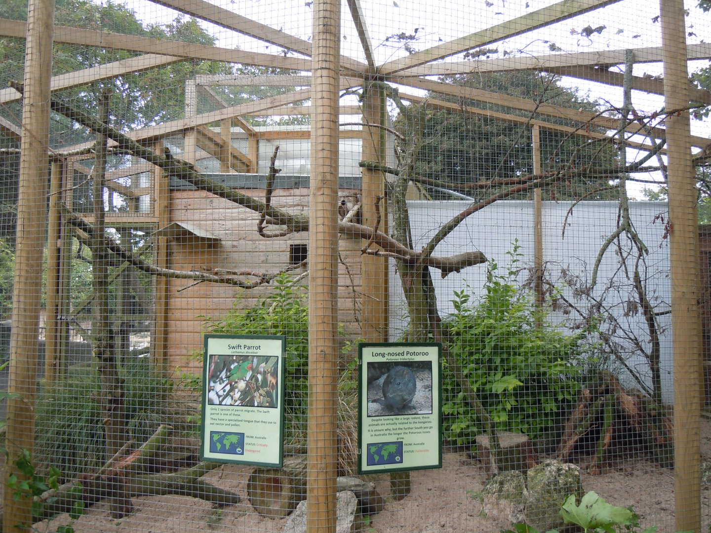 Swift parrot and Long-nosed potoroo enclosure 070920