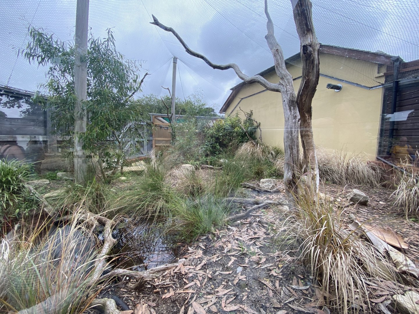 Swift parrot and Long-nosed potoroo enclosure 120821