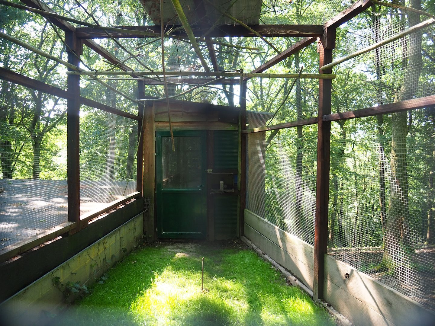 Swift parrot aviary, 2023-06-24