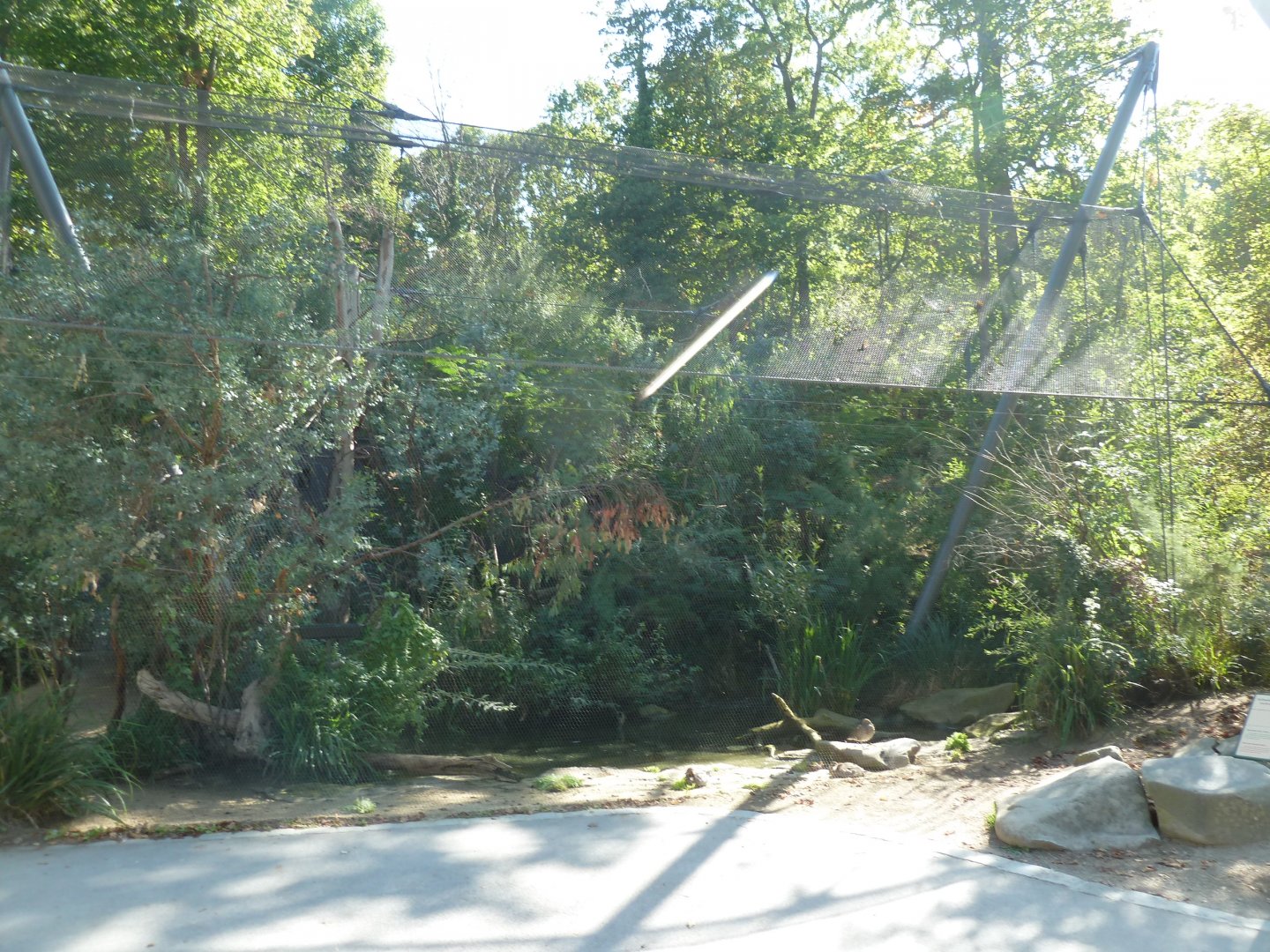 Swift parrot aviary near the Rustenallee entrance