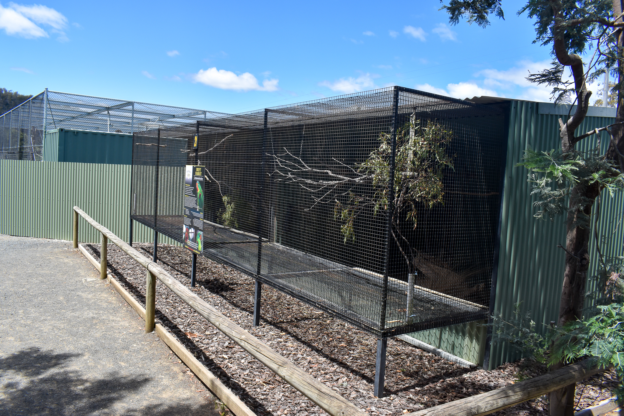 Swift Parrot aviary