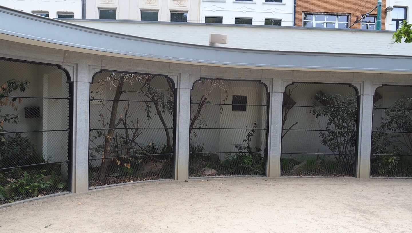 Swift parrot, Blue-faced honeyeater and Long-tailed finch aviary, 2022-07-10