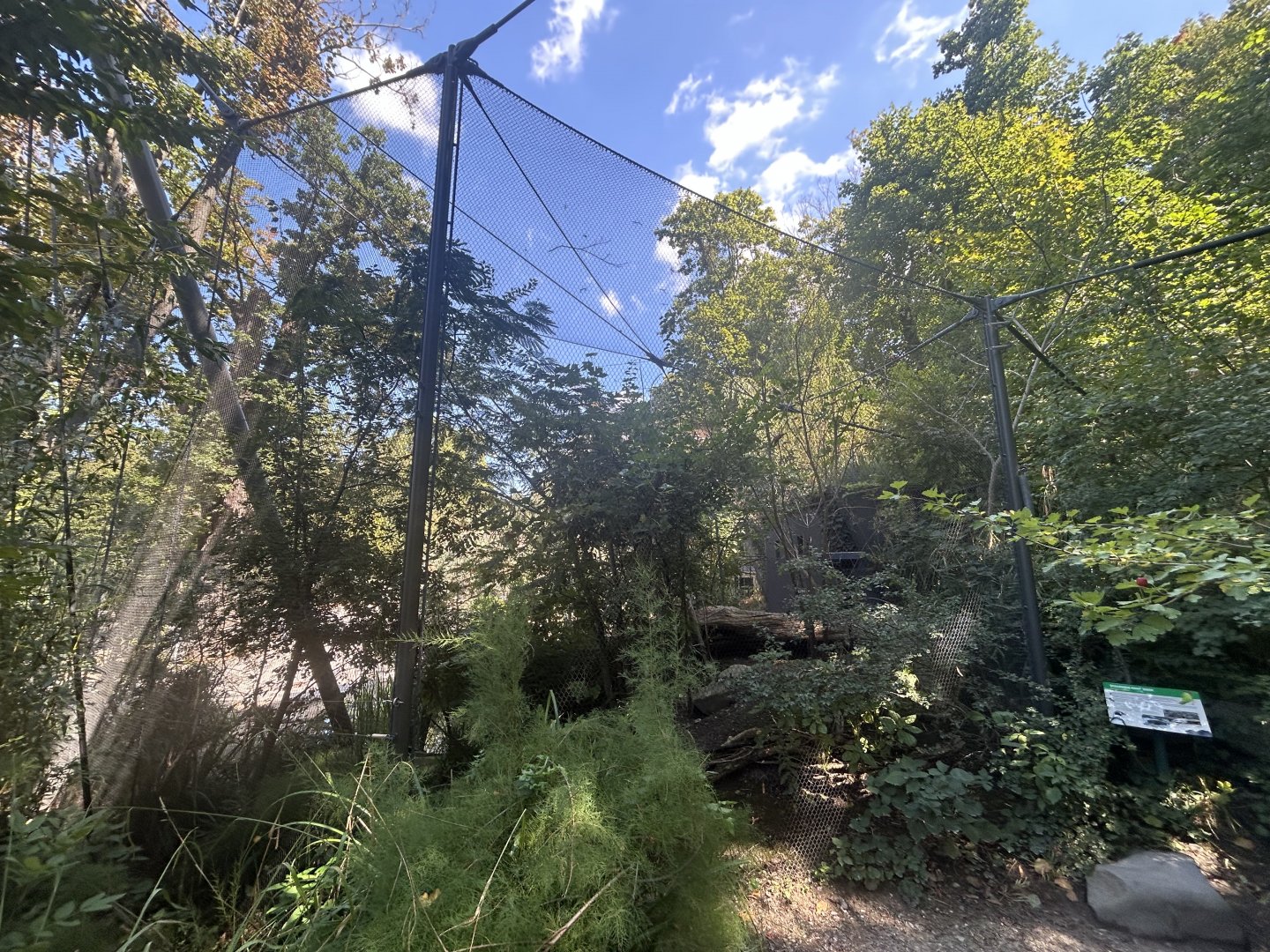 Swift Parrot & Maned Duck Aviary