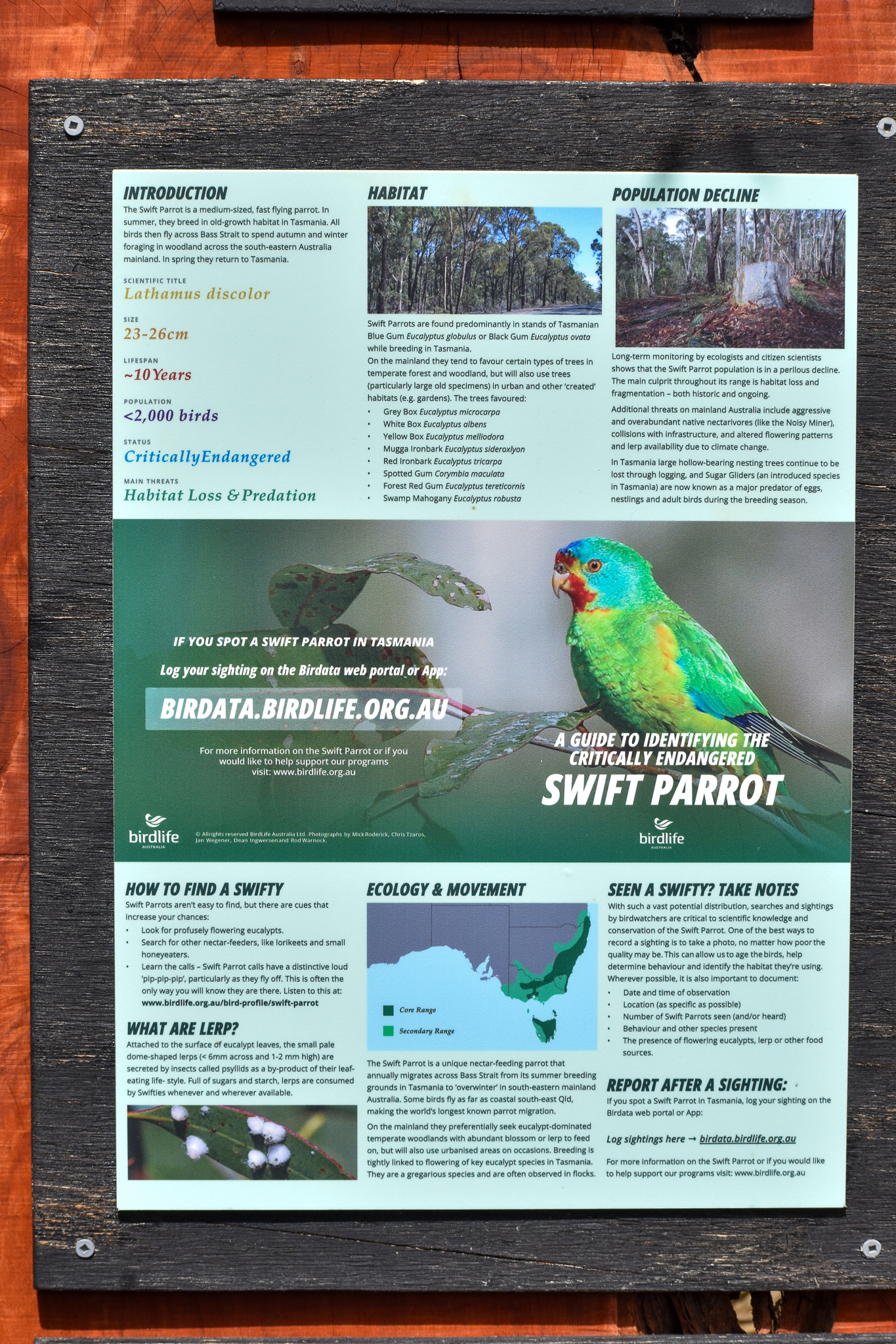 Swift Parrot signage