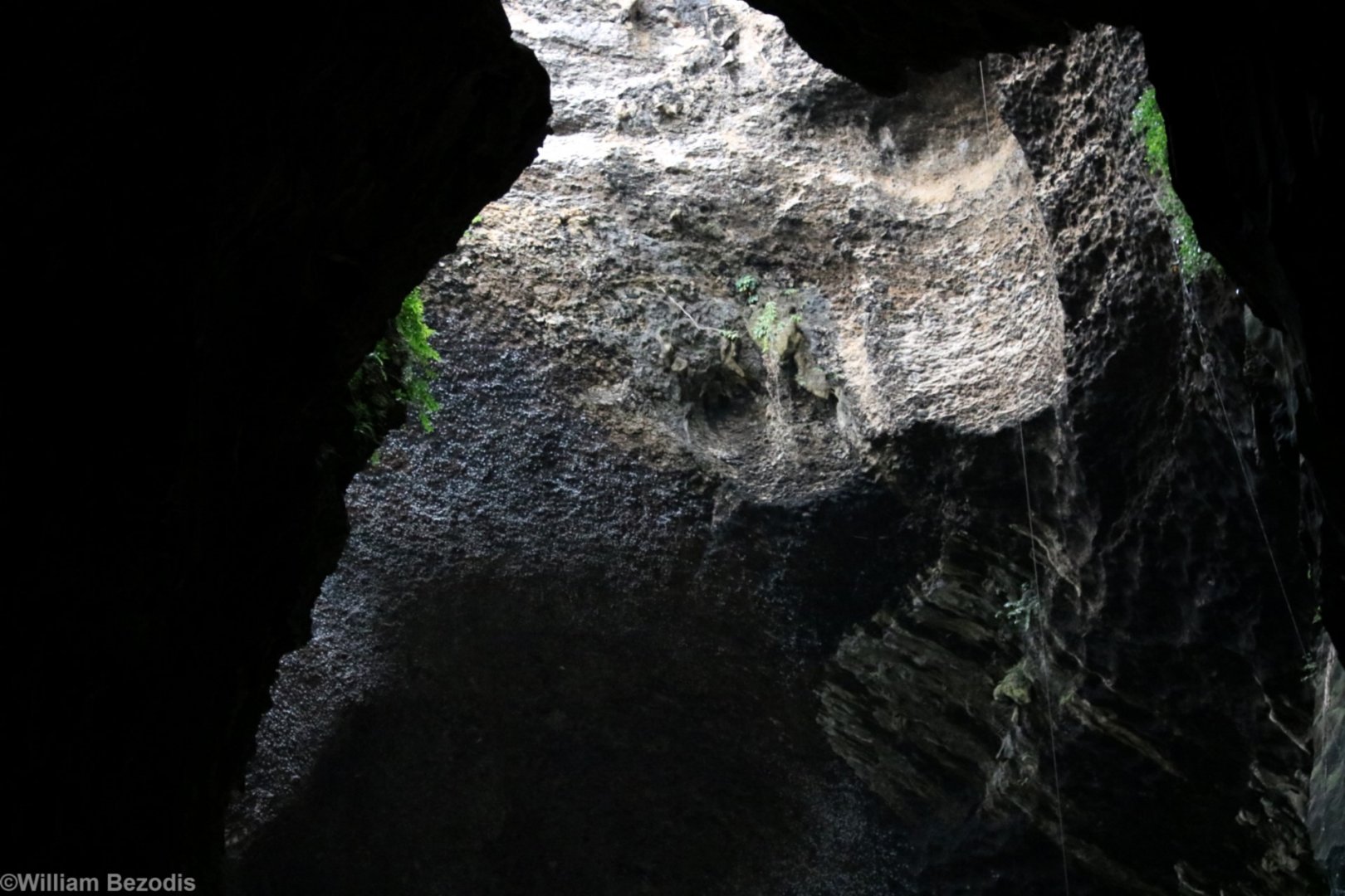 Swiftlets at One of the Cave Entrances - Gomantong