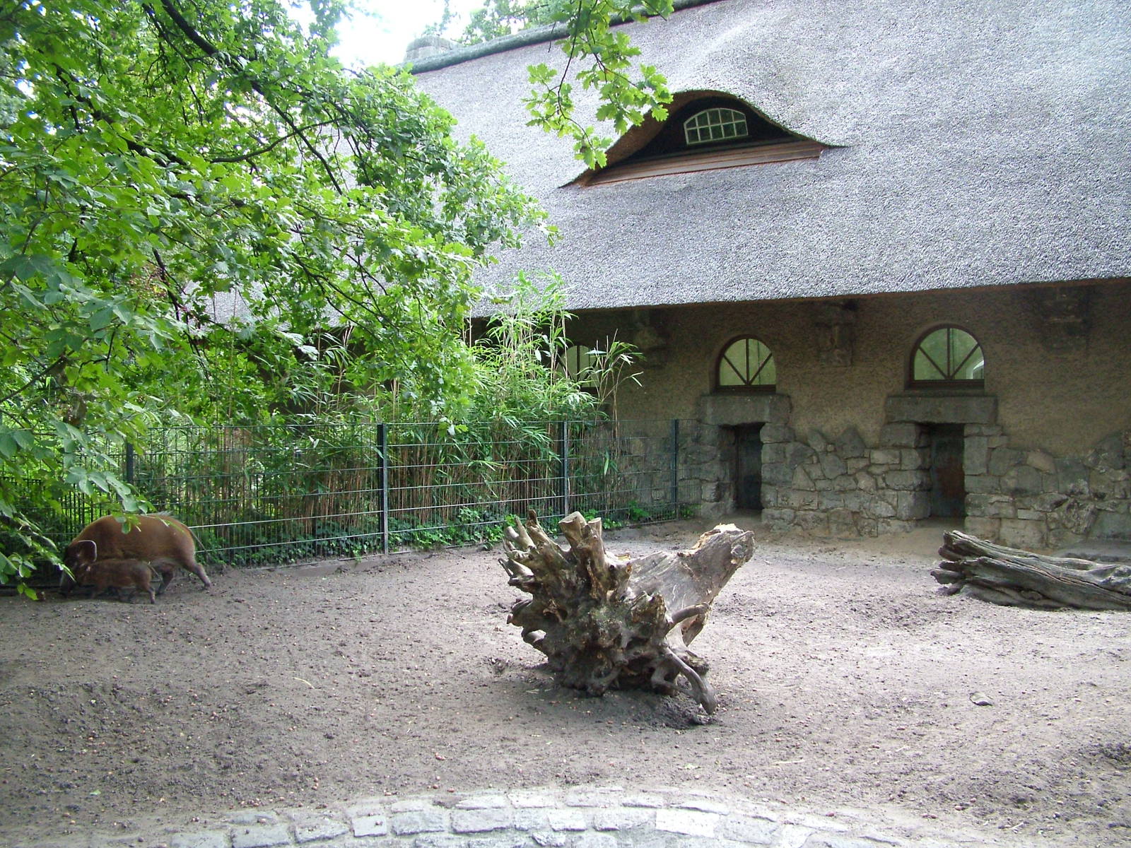 Swine House at Berlin Zoo, 31/08/11