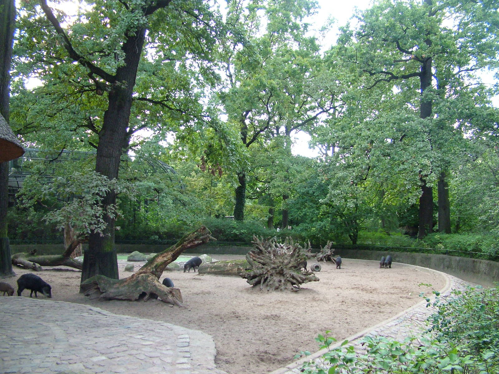 Swine House at Berlin Zoo, 31/08/11