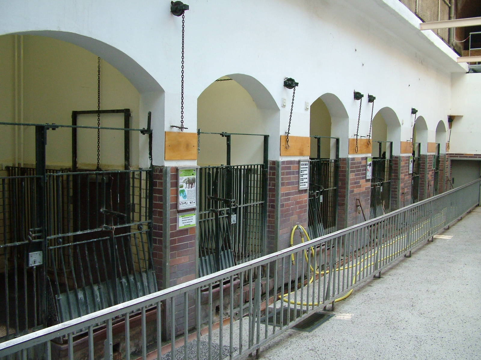 Swine House Interior at Berlin Zoo, 31/08/11