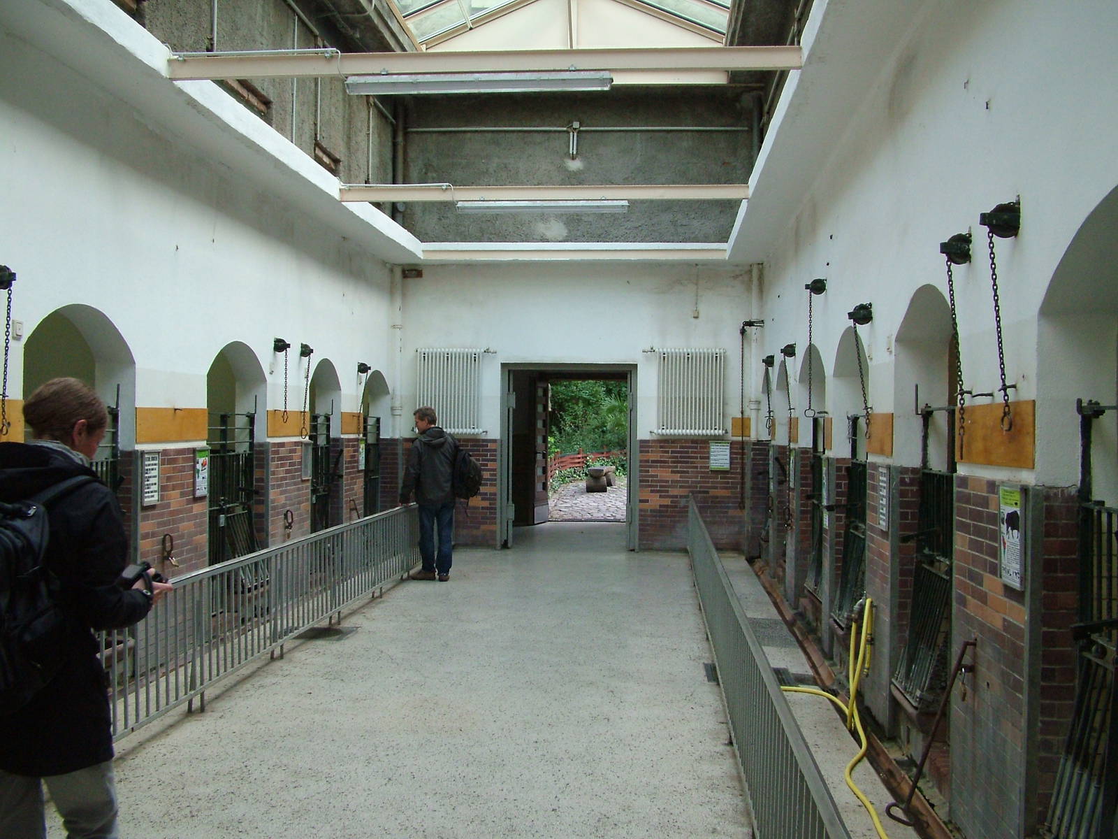 Swine House Interior at Berlin Zoo, 31/08/11