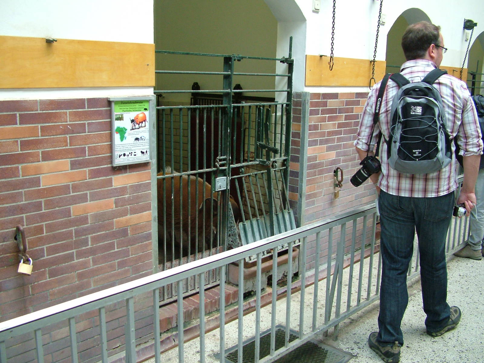 Swine House Interior at Berlin Zoo, 31/08/11