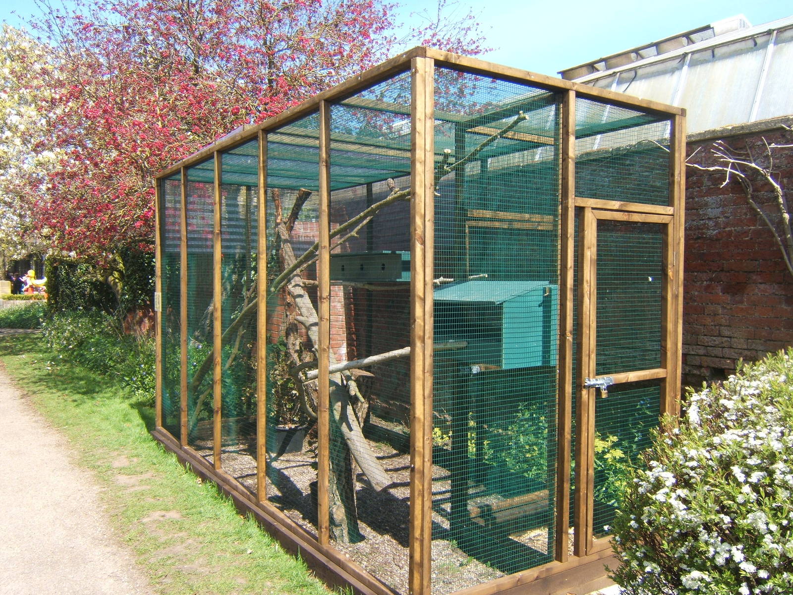 Swinhoe`s Striped Squirrel enclosure