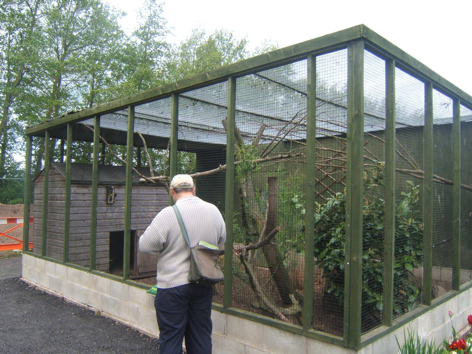 Swinhoes Pheasant enclosure