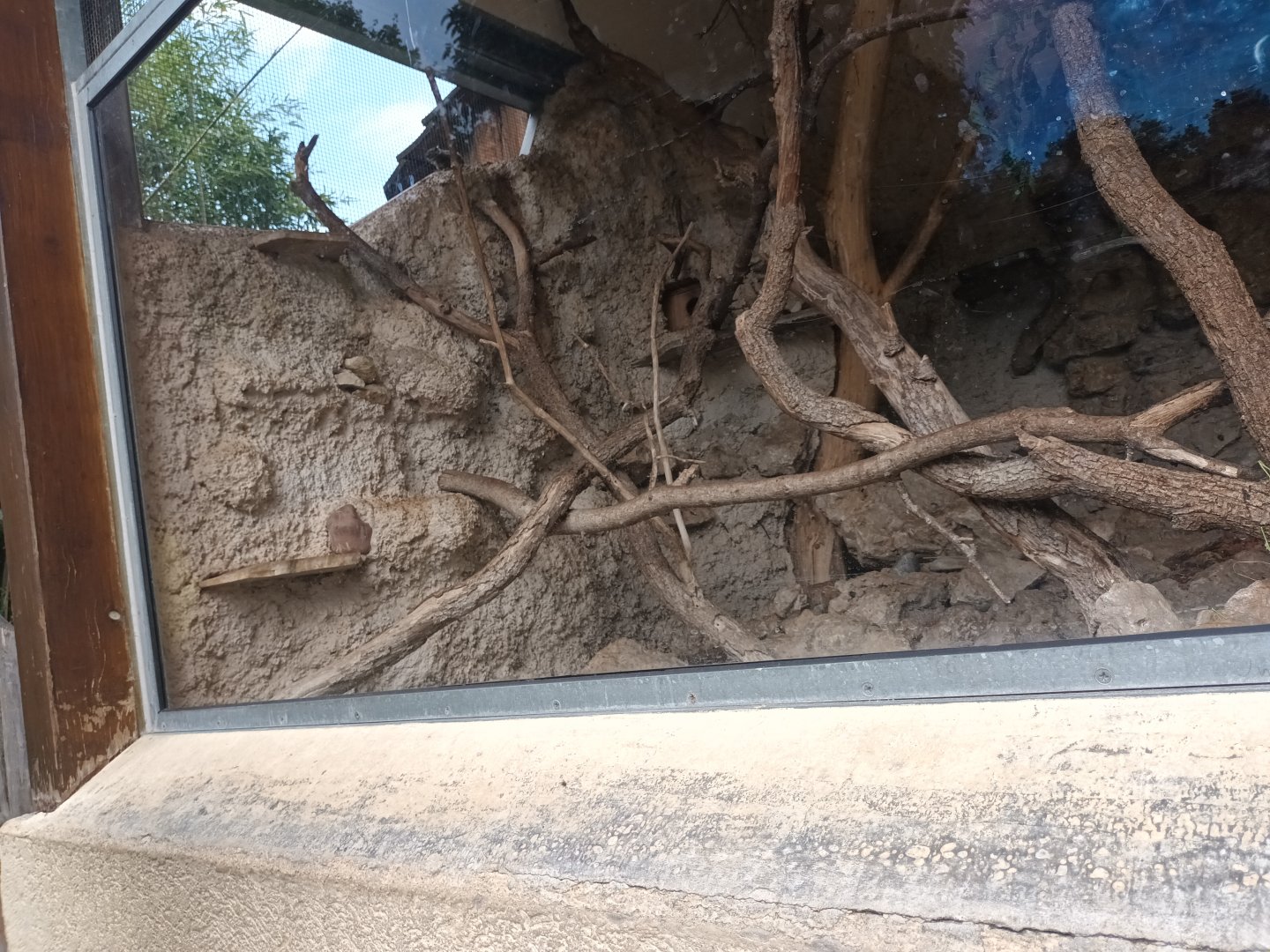 Swinhoes striped Squirrel and Chinese bamboo Partridge Enclosure