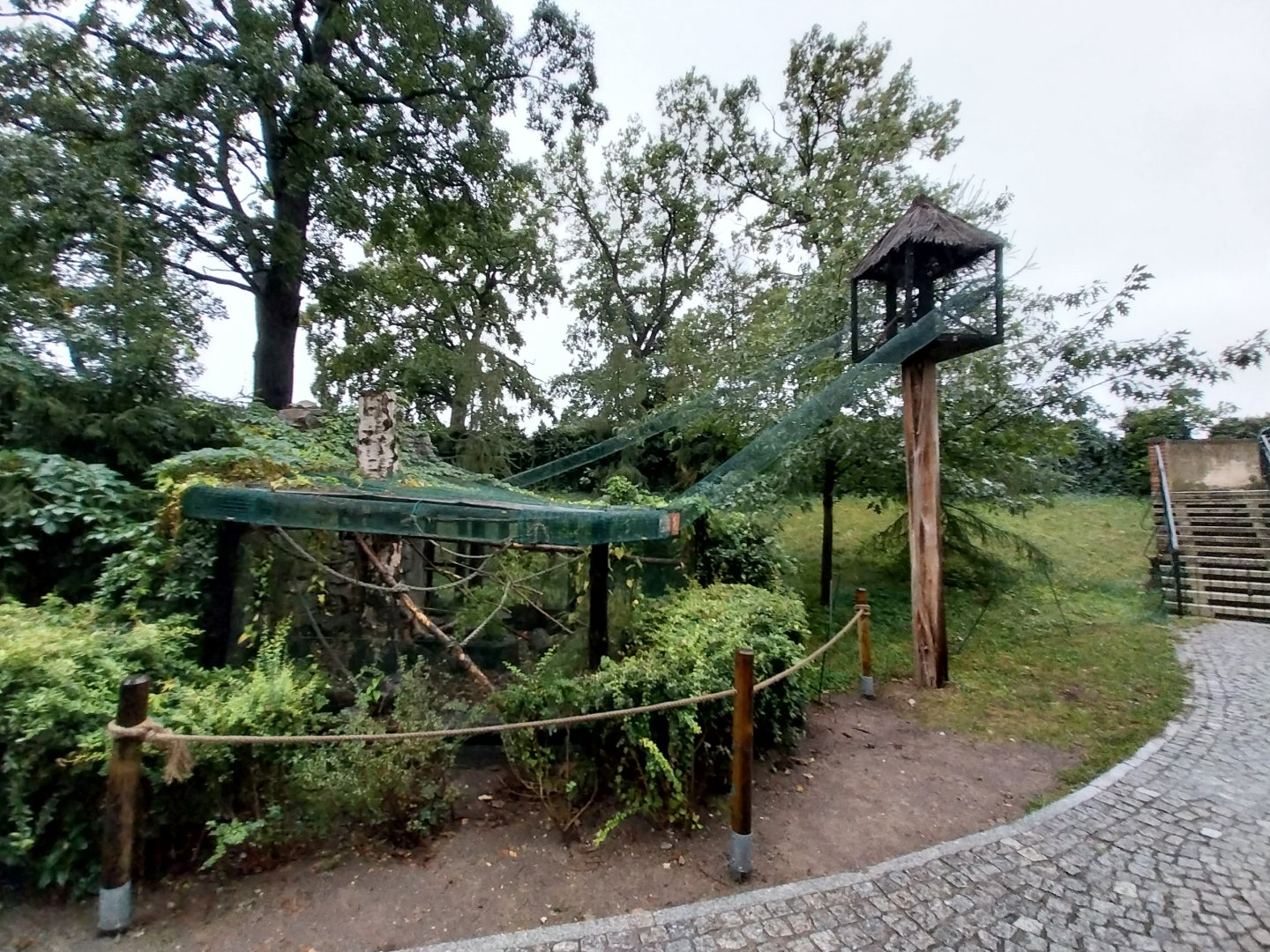 Swinhoe's striped squirrel aviary