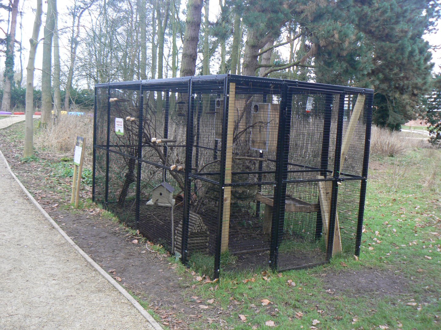 Swinhoe's Striped Squirrel Enclosure - 12 February 2018