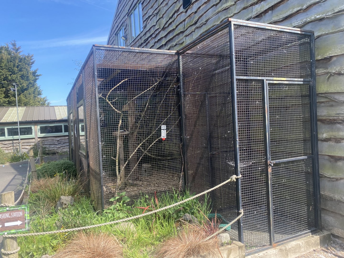 Swinhoe’s striped squirrel enclosure 280425