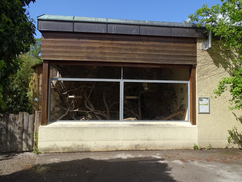 Swinhoe's striped squirrel enclosure (Tropenhalle)