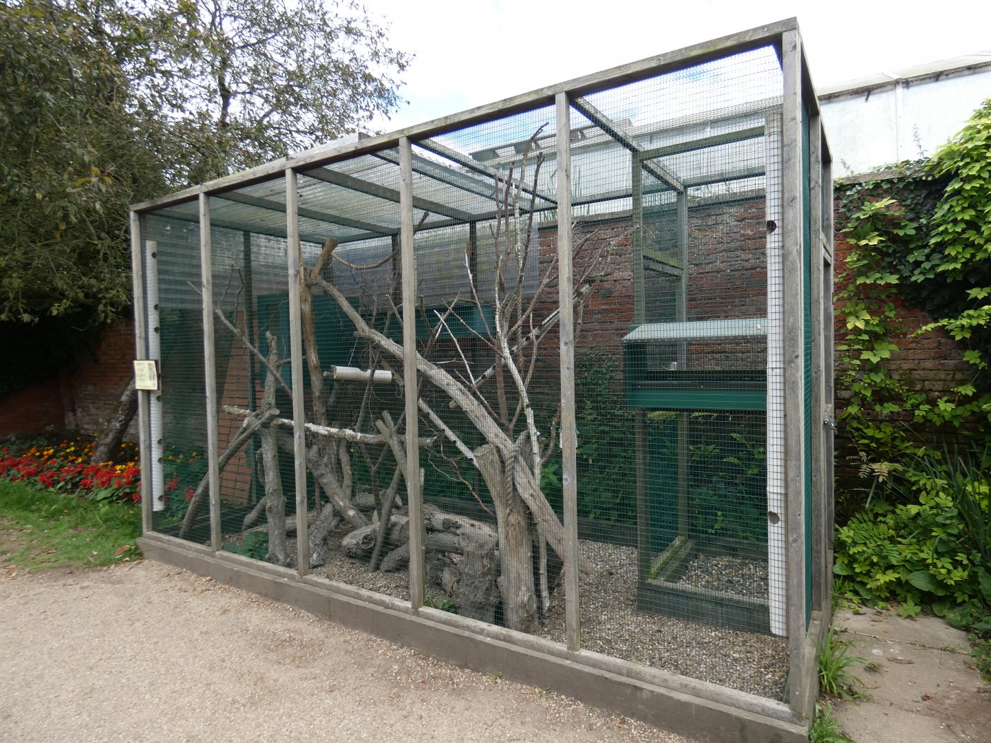 Swinhoe's striped squirrel enclosure