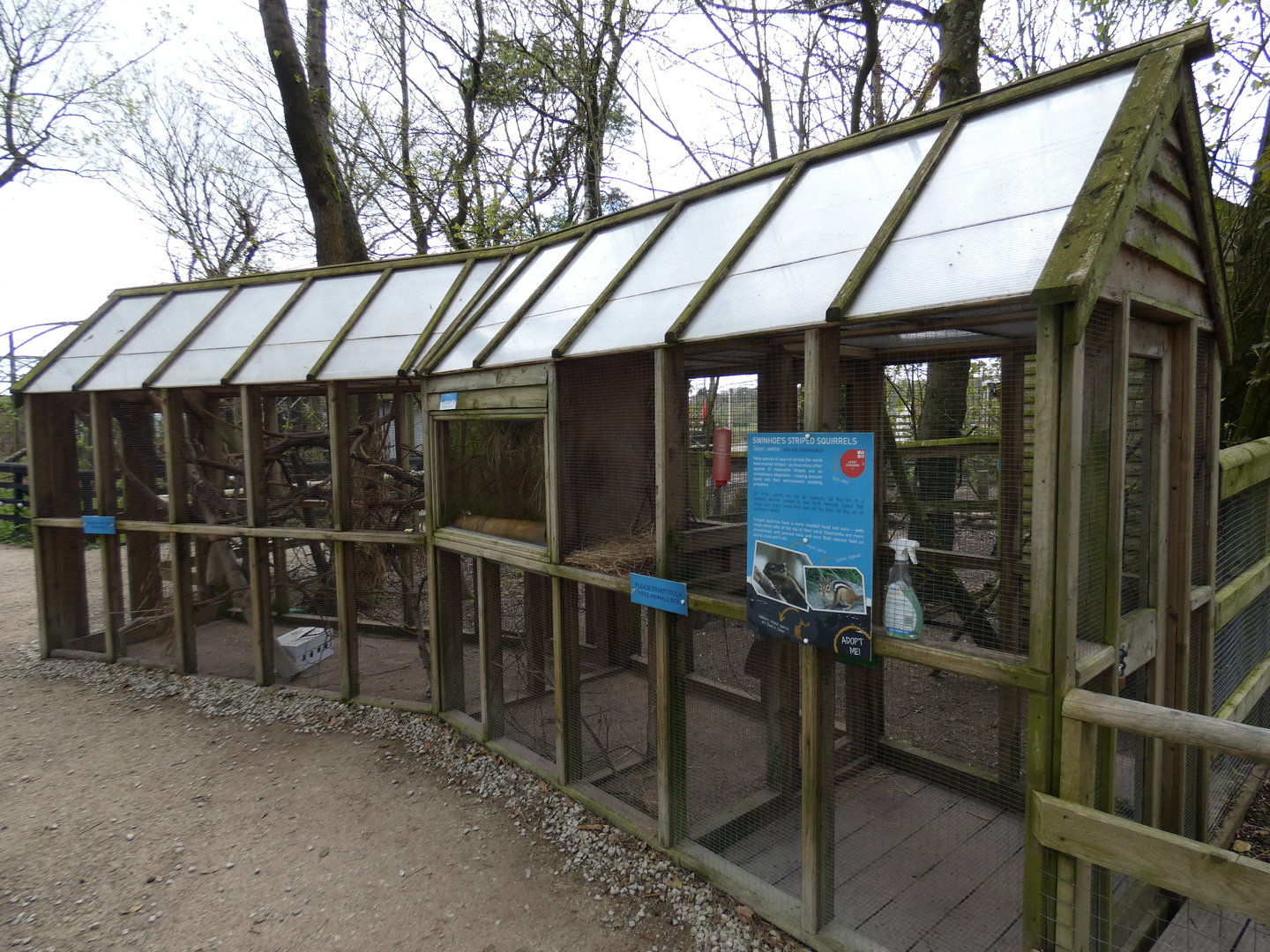 Swinhoe's striped squirrel enclosure