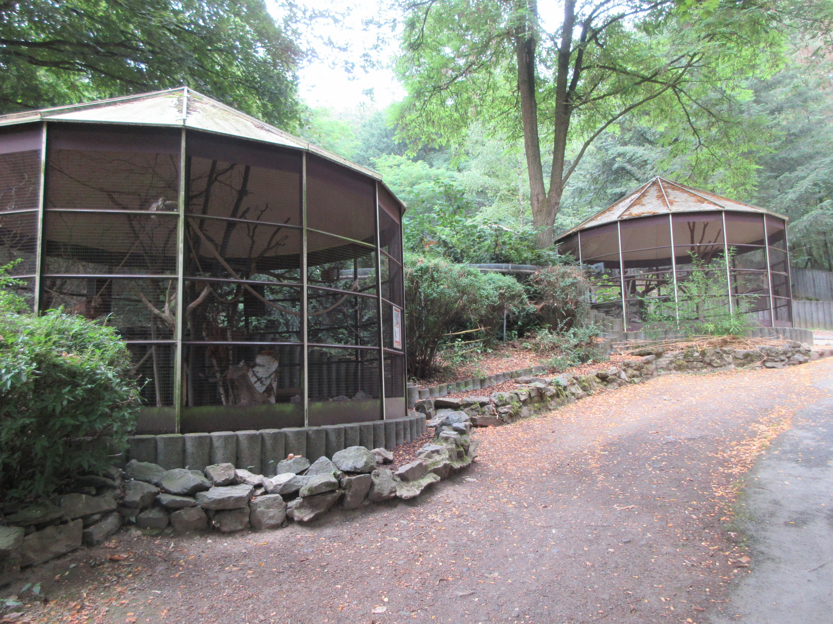Swinhoe's Striped Squirrel Exhibit (all connected)